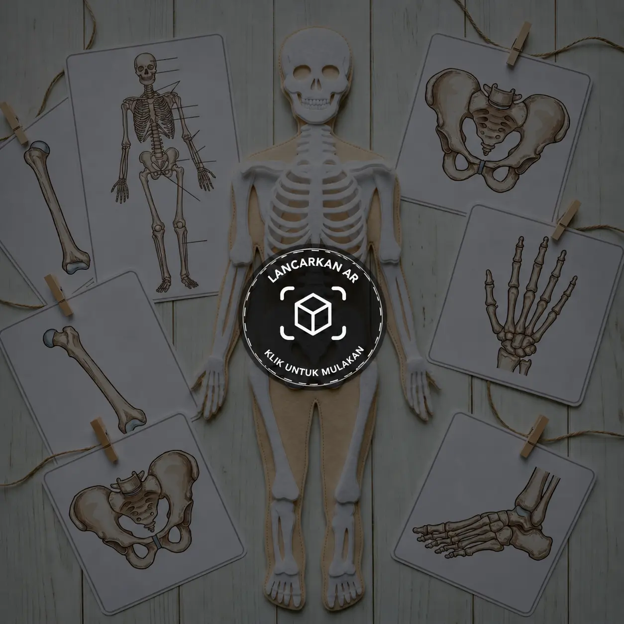 Lancarkan WebAR Sistem Rangka Manusia